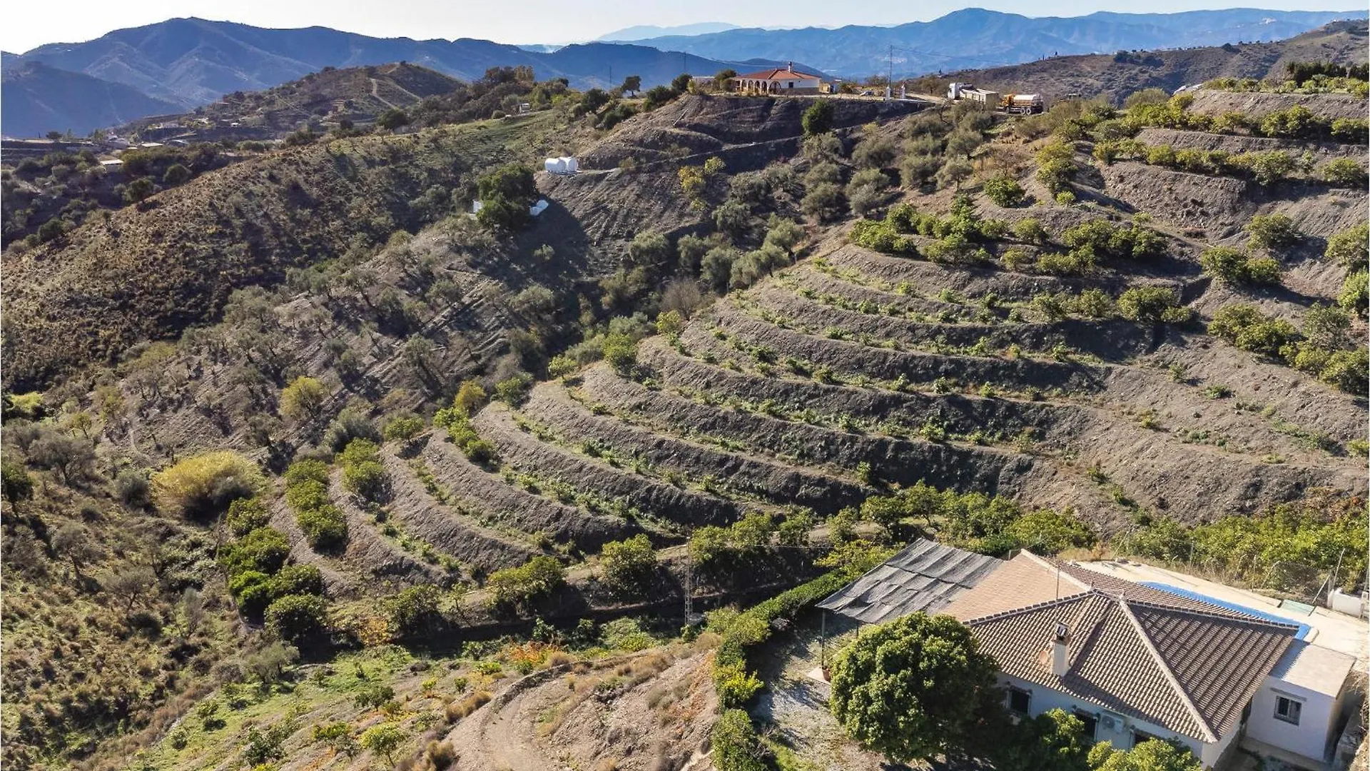 Pet Friendly Home In Sedella With Kitchenette Holiday home